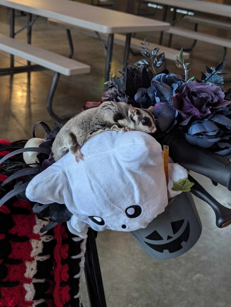 Xion is grudgingly crawling across Boo (a cottage core tentacle kitty) to be able to eat from a honey stick. There are some pretty flowers behind them.